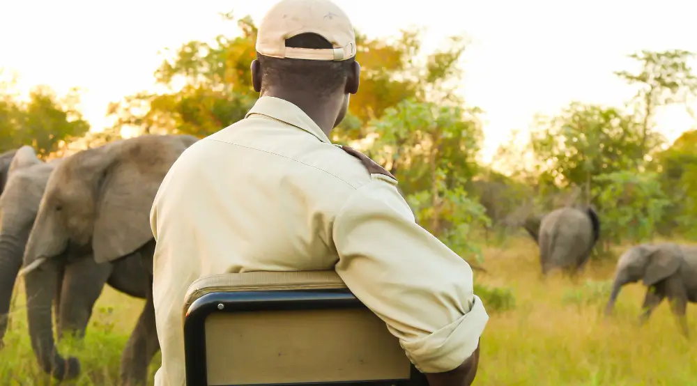 Community Conservation Programs